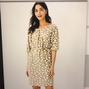 Ann Taylor Floral Clip Shift Dress